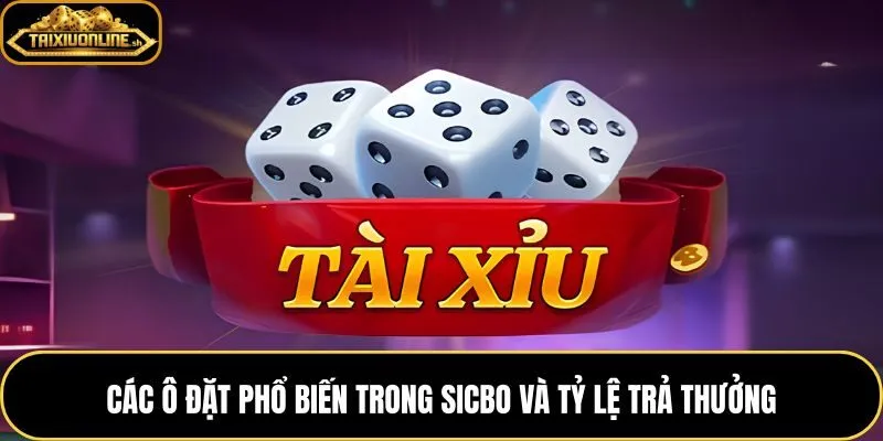 Bảng phương án đặt Sicbo tài xỉu kèm điều kiện thắng và mức thưởng