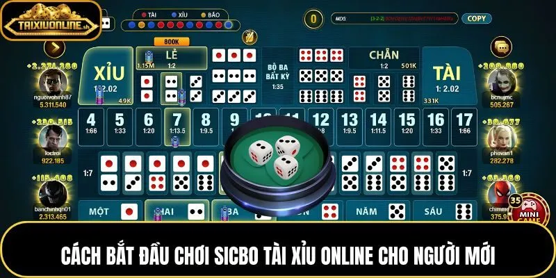 Trình tự 6 bước đặt cược Sicbo tài xỉu trên bàn online