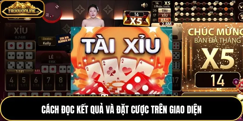 Đọc tổng điểm xúc xắc và thao tác đặt cược trên bàn tài xỉu thật