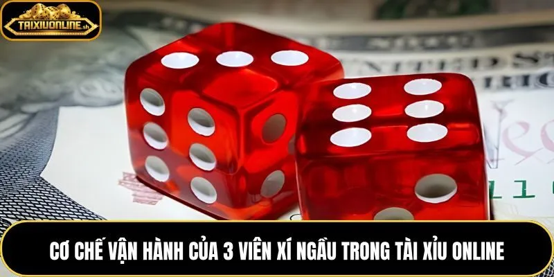 Giải mã xí ngầu qua cách đọc từng viên và cộng điểm tổng
