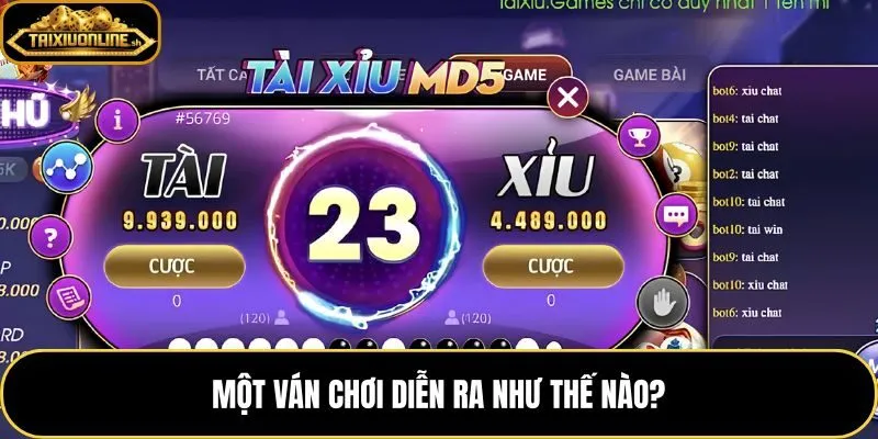 Trình tự 4 bước trong luật chơi tài xỉu từ đặt cửa đến đối chiếu kết quả